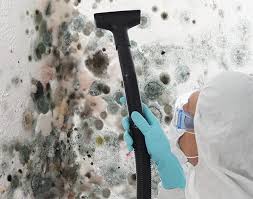 Reliable Weatherford, OK Mold Removal Services Solutions